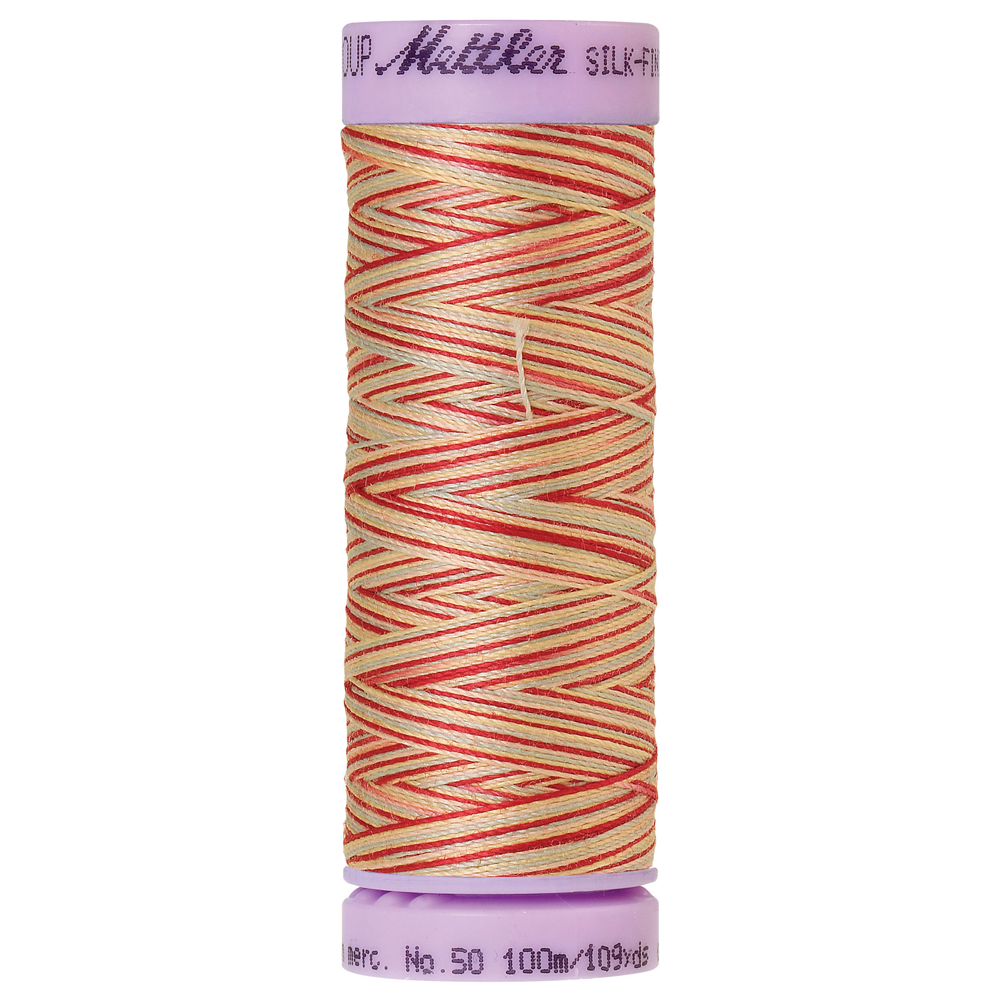 Silk Finish Thread Multi-color Antique Floral 9849