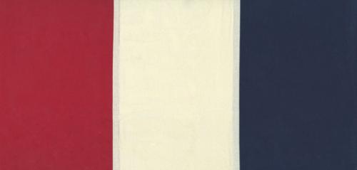 22" Americana Pieced Bunting Toweling- Quilt Fabric