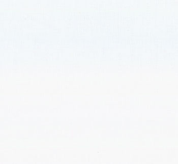 120" 200 Count Muslin Warm White - Quilt Fabric