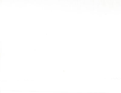 90" 200 Count Muslin Warm White - Yardage