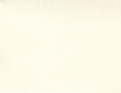 108" 200 Count Muslin Natural - Quilt Fabric