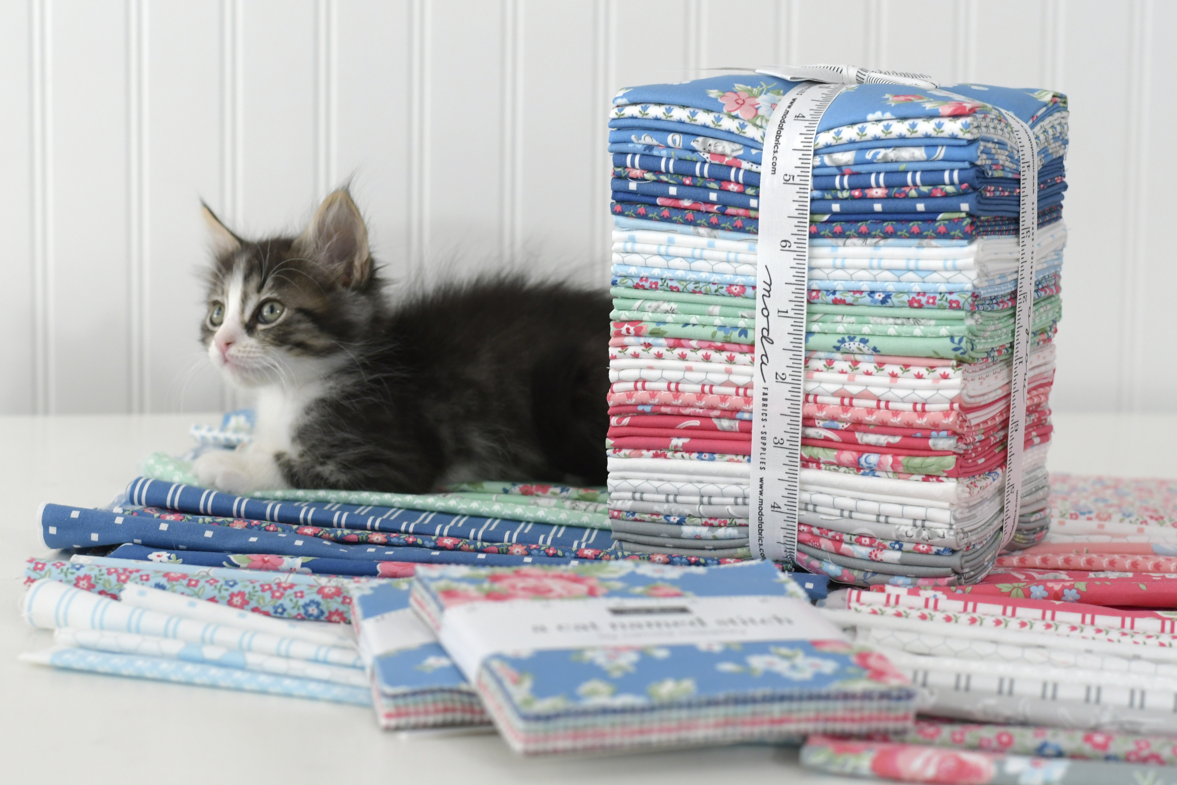 A Cat Named Stitch - Layer Cake