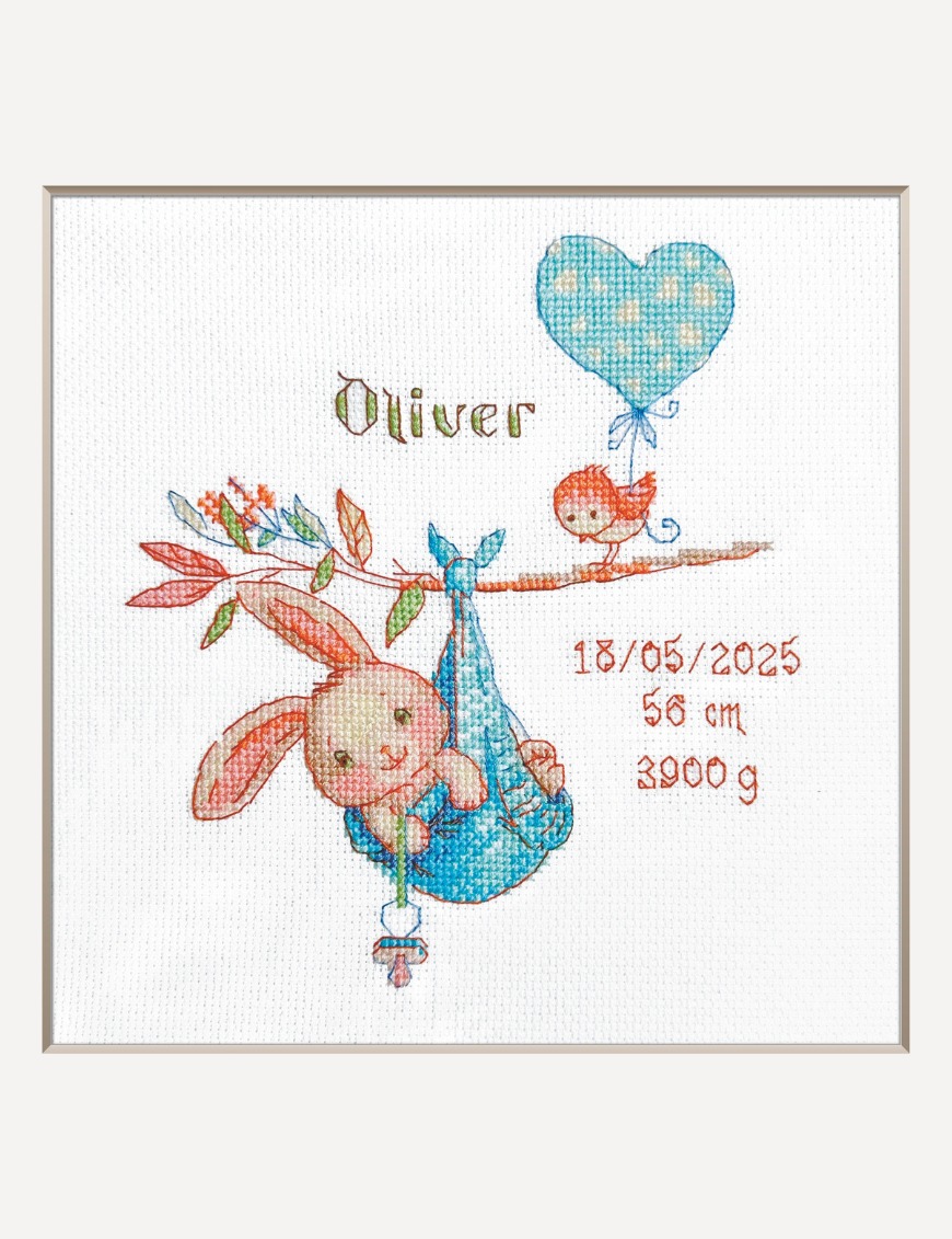 Boy Birth Sampler - Cross Stitch Kit