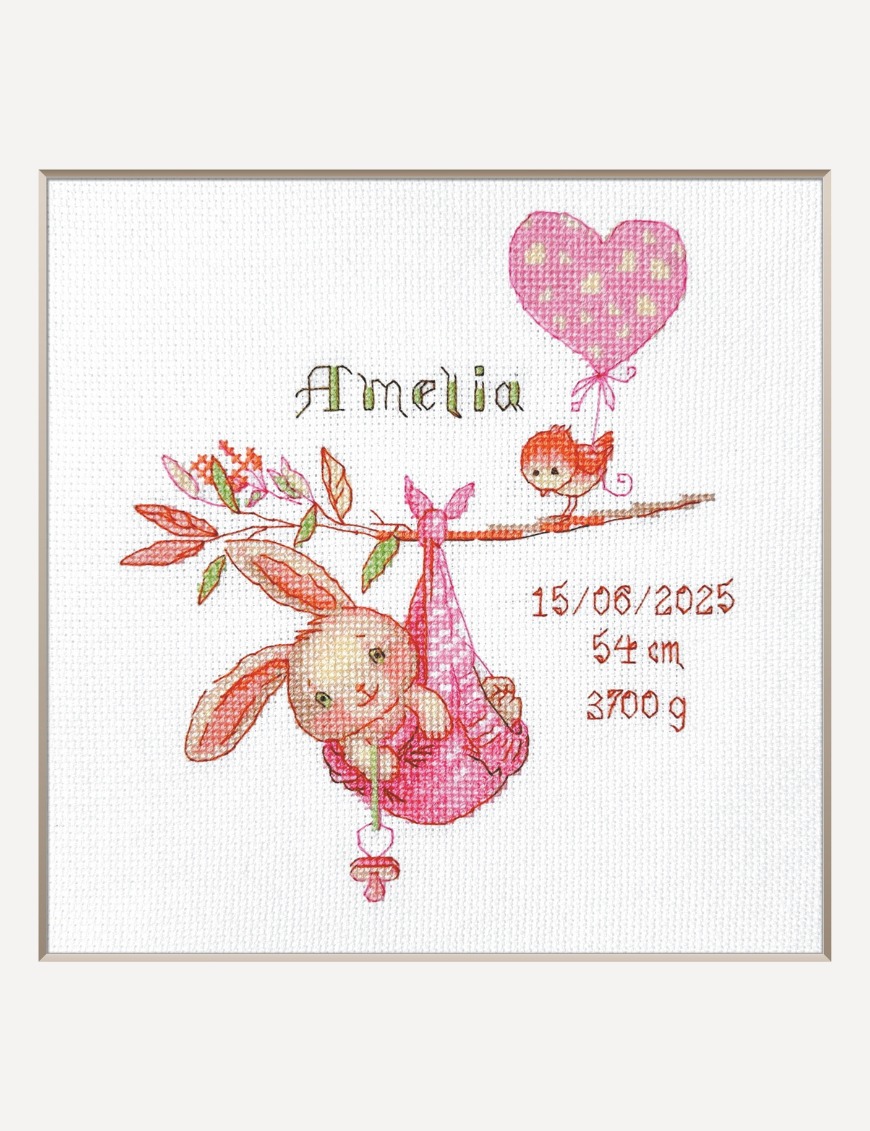 Girl Birth Sampler - Cross Stitch Kit
