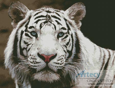 Mini White Tiger 2 - Cross Stitch Pattern