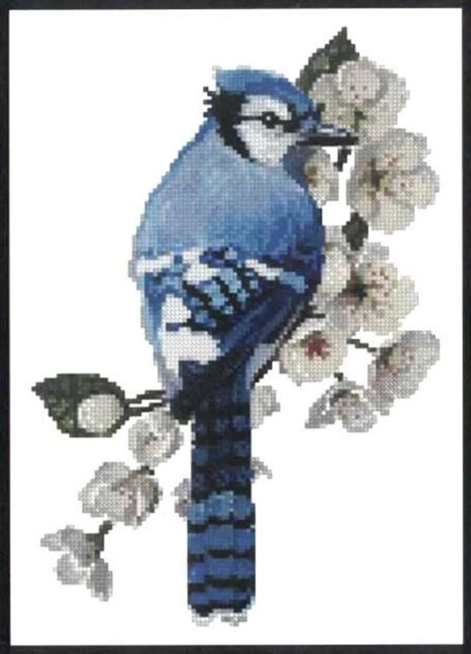 Little Blue Jay - Cross Stitch Pattern