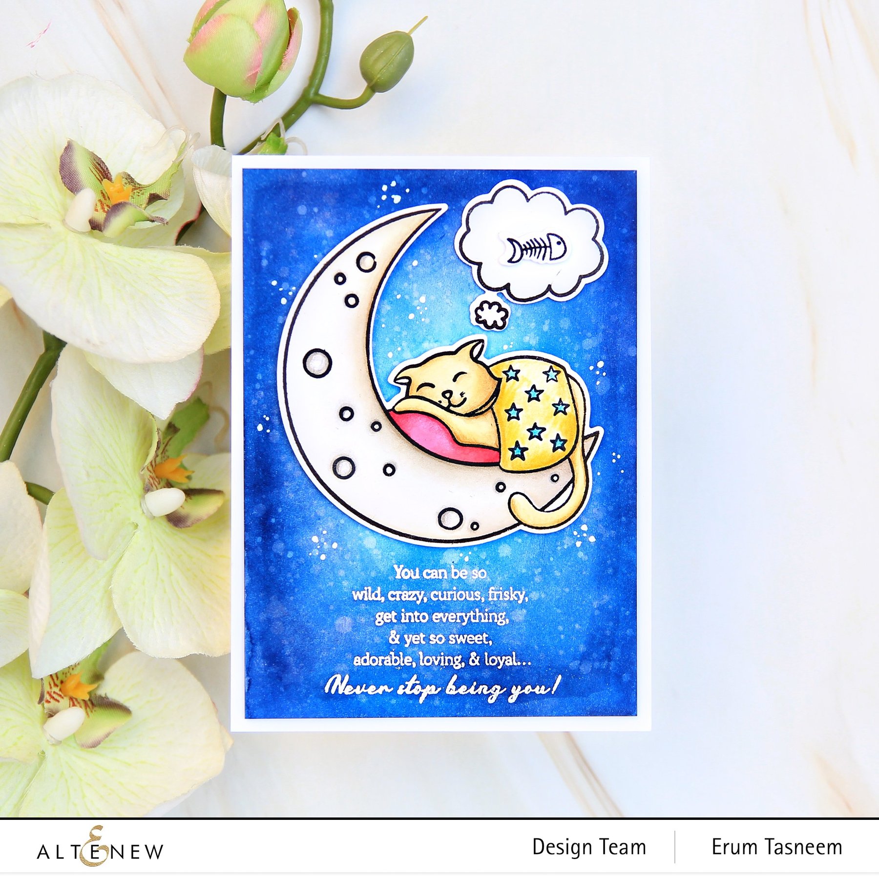 Dreamy Cat - Simple Coloring Stencil