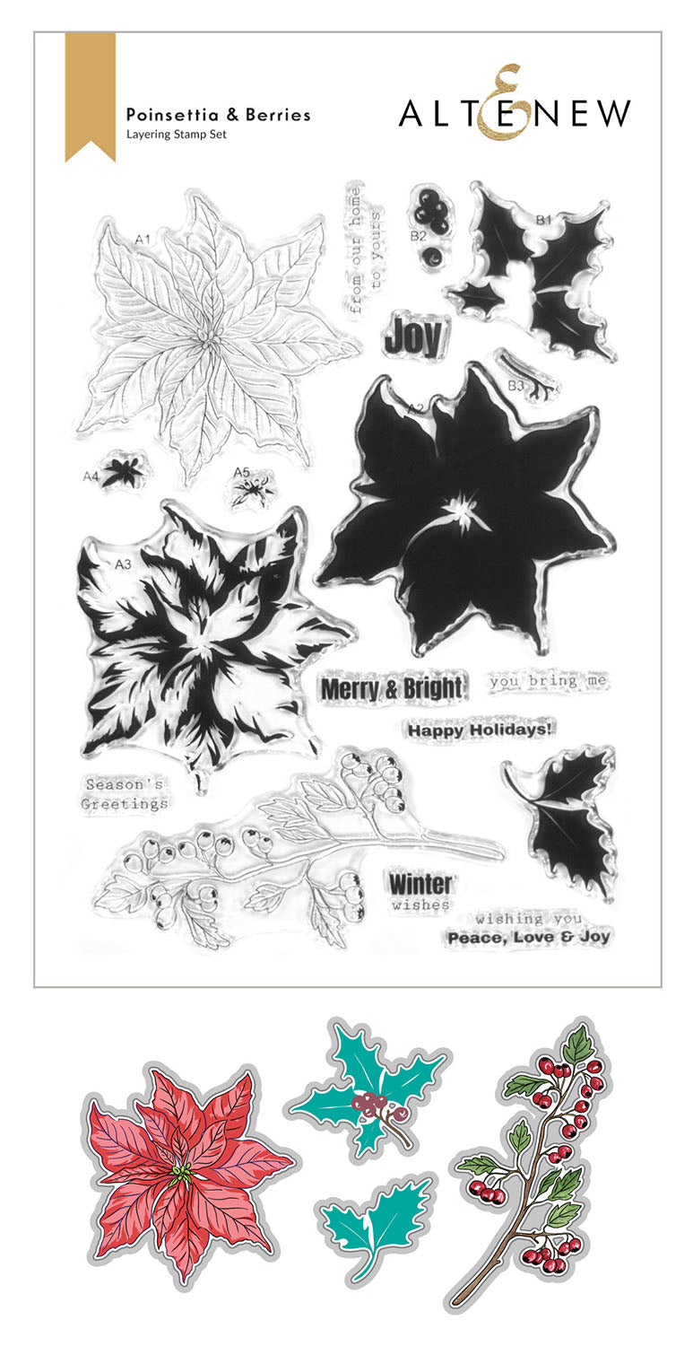 Poinsettia & Berries - Stamp And Die