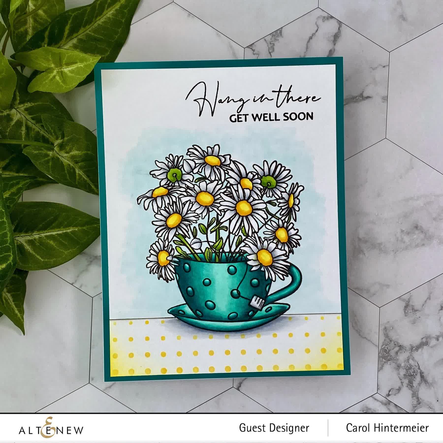 Paint-A-Flower - Chamomile Outline - Clear Stamp