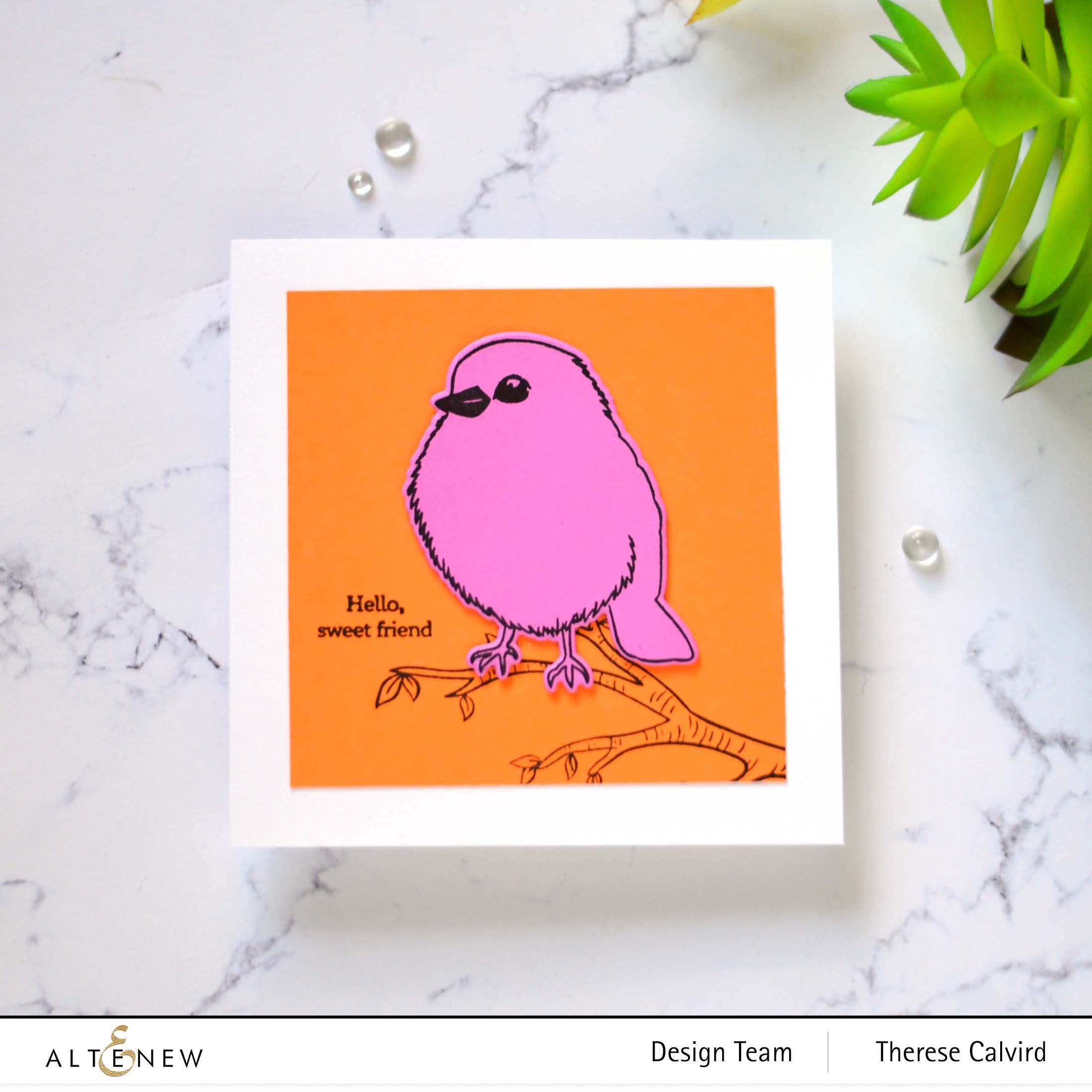Bird of the Woods - Layering Stamp Set