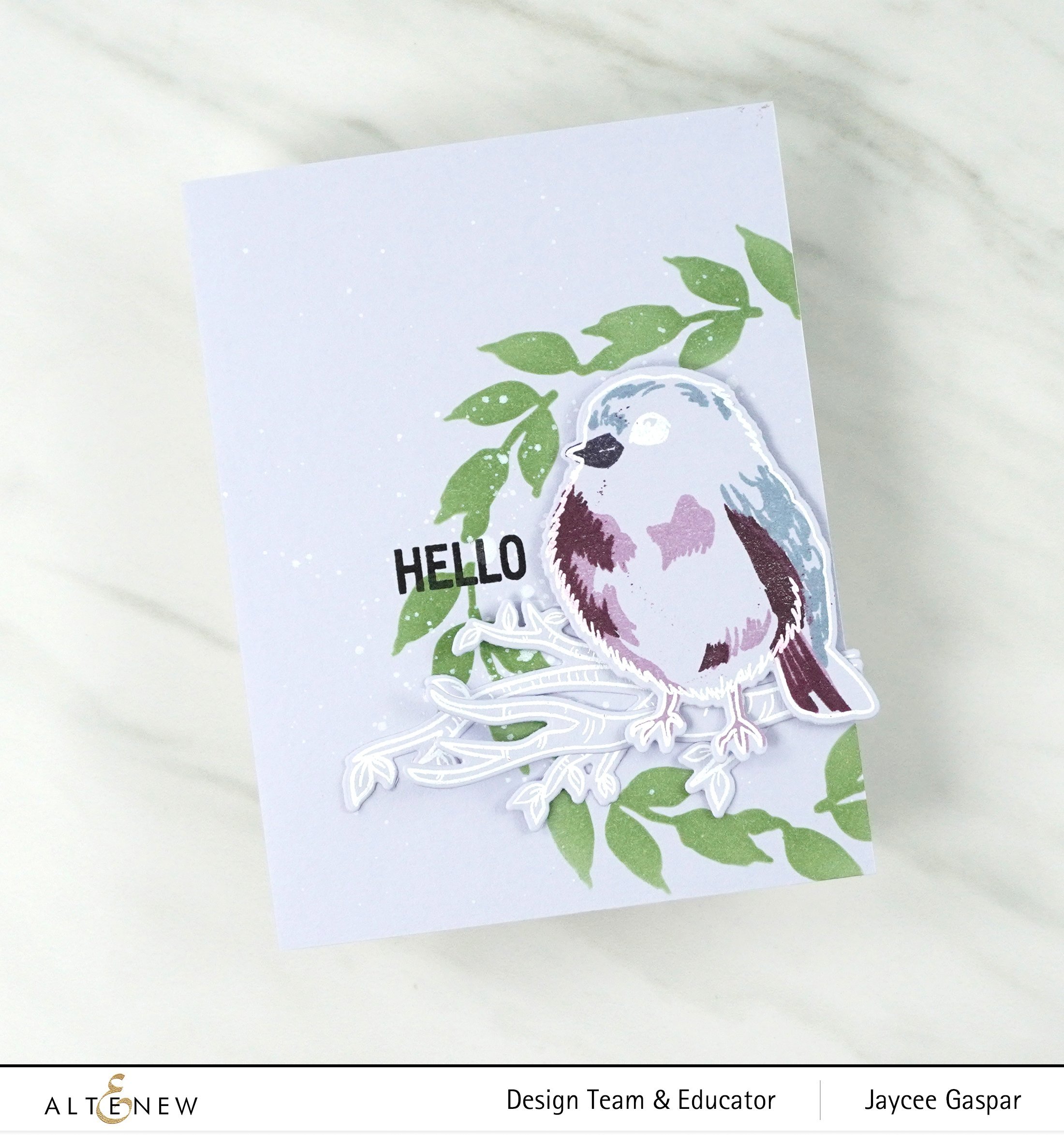 Bird of the Woods - Layering Stamp Set