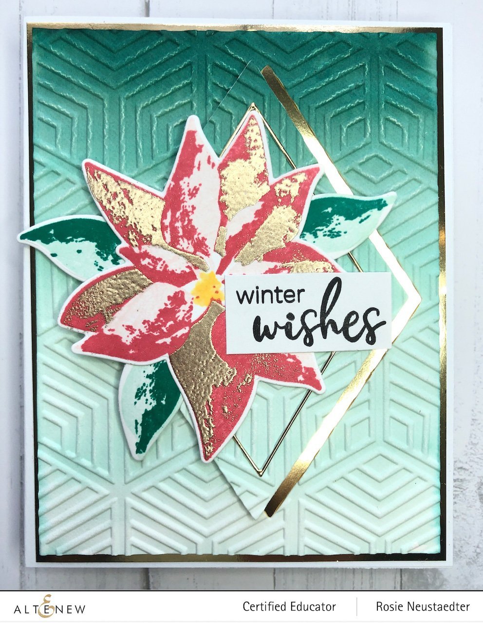 Dry Brush Poinsettia - Layering Stamp Set