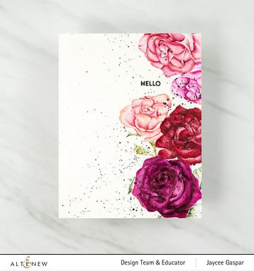 Paint-A-Flower - Rosa Floribunda Outline - Clear Stamp Set