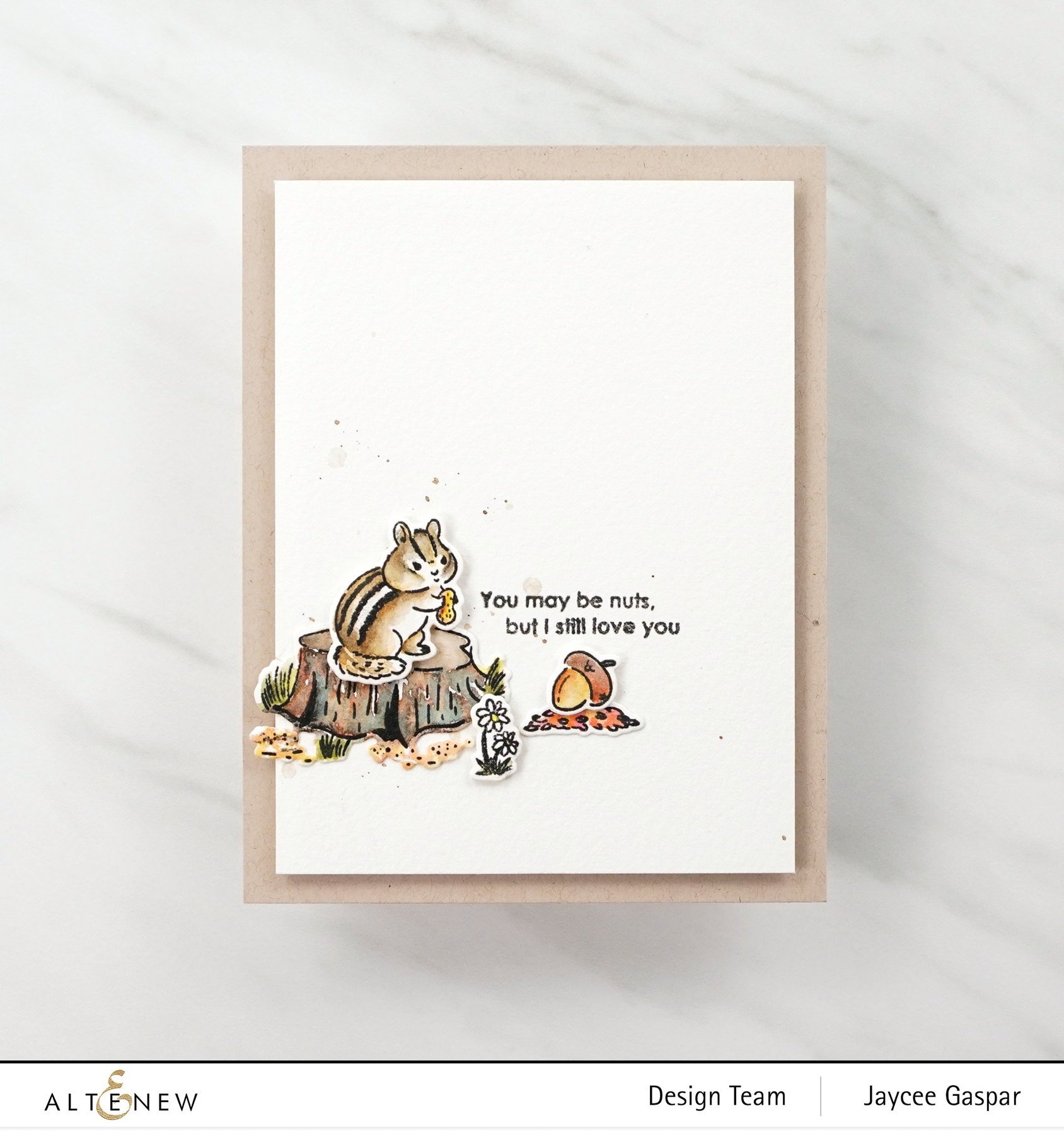 Chipmunk and Squirrel - Clear Stamp, different perspective #2, zoomed in. Select this picture to zoom back out.