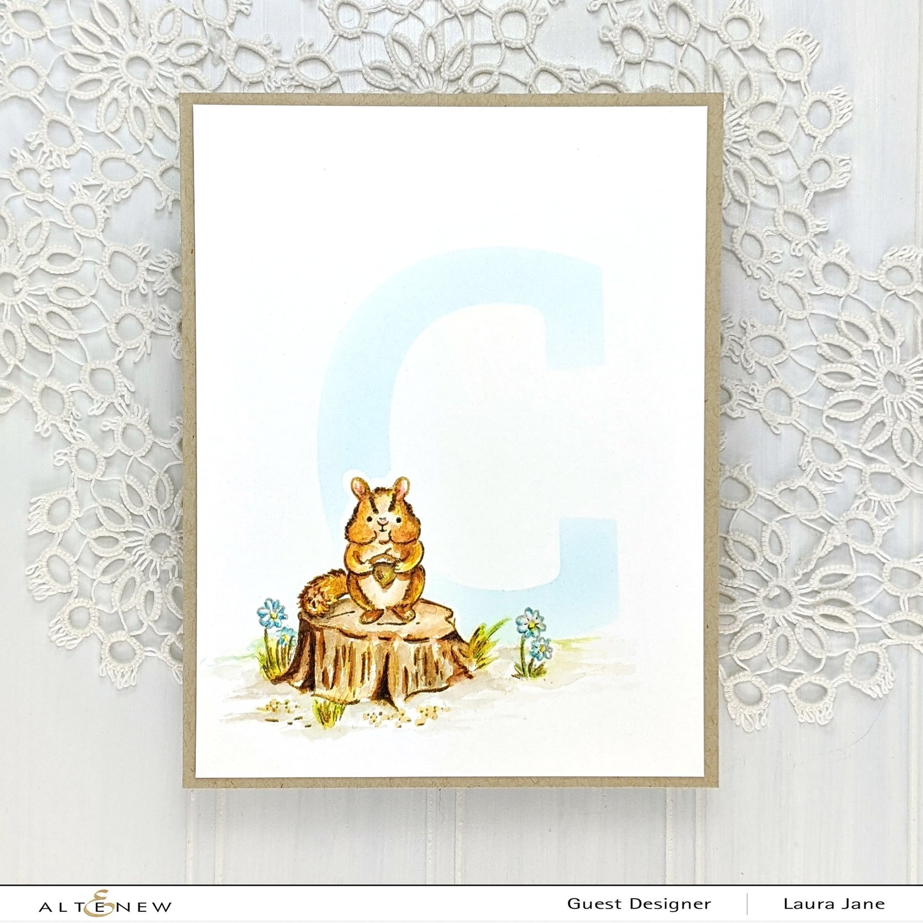 Chipmunk and Squirrel - Clear Stamp, different perspective #3, zoomed in. Select this picture to zoom back out.