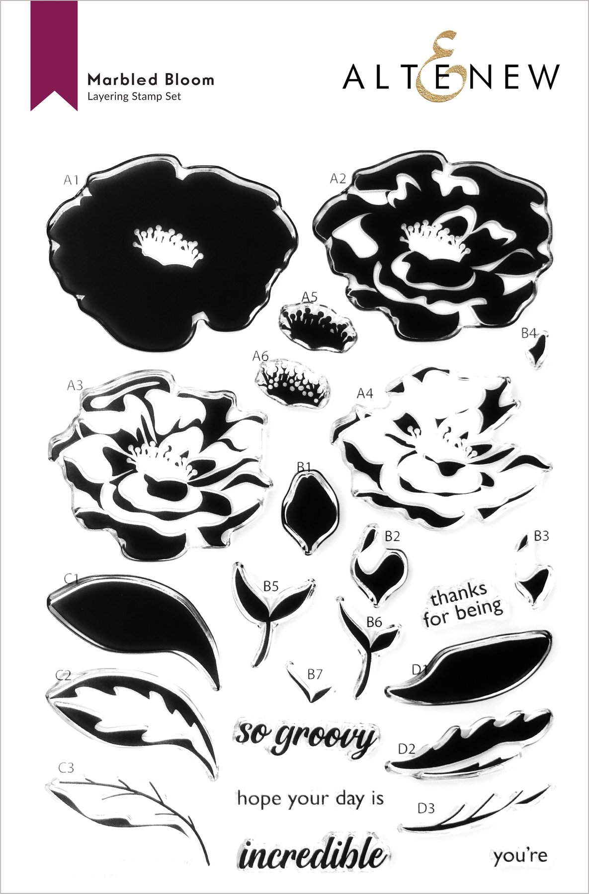 Marbled Bloom - Stamp and Die Set