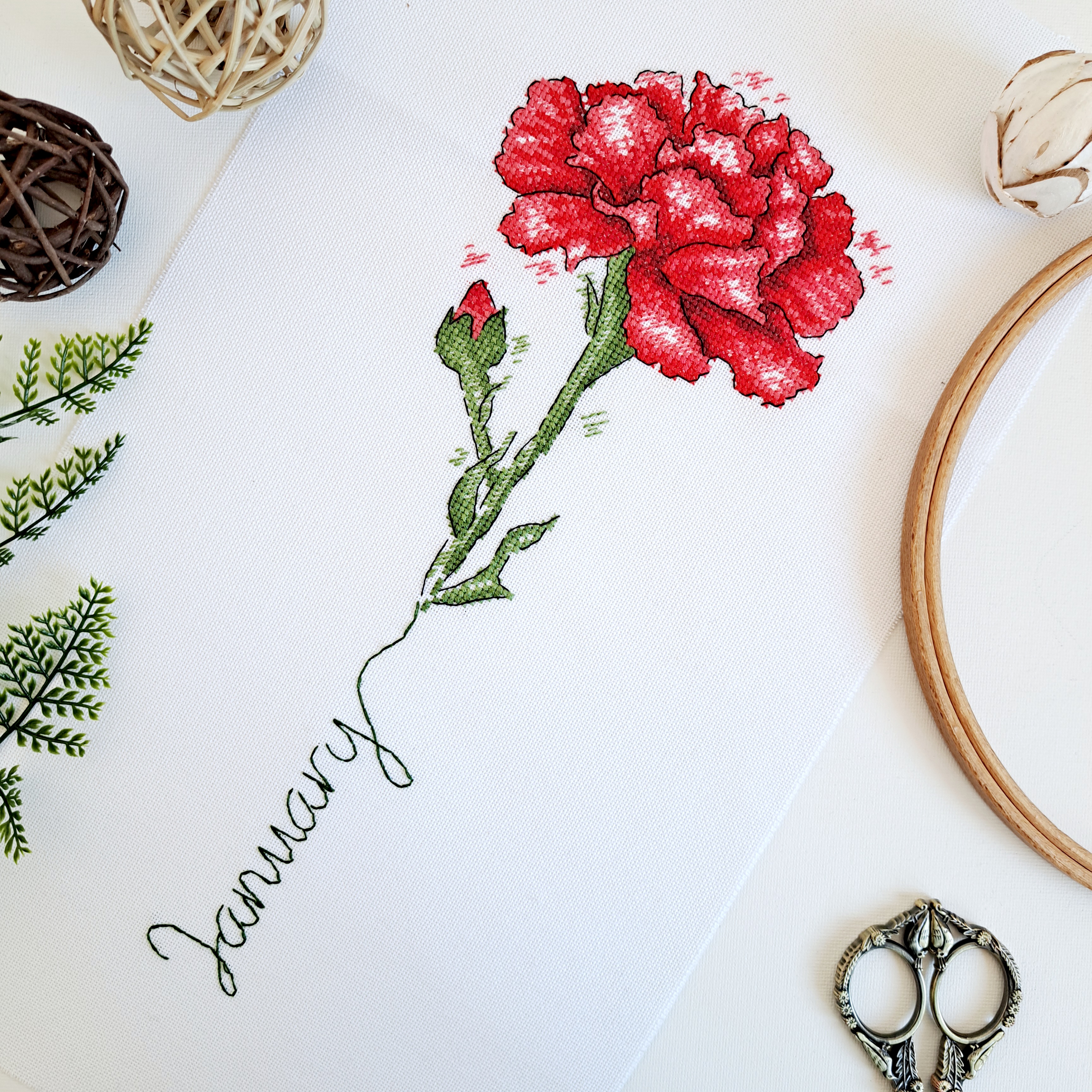 January Carnation - PDF Cross Stitch Pattern