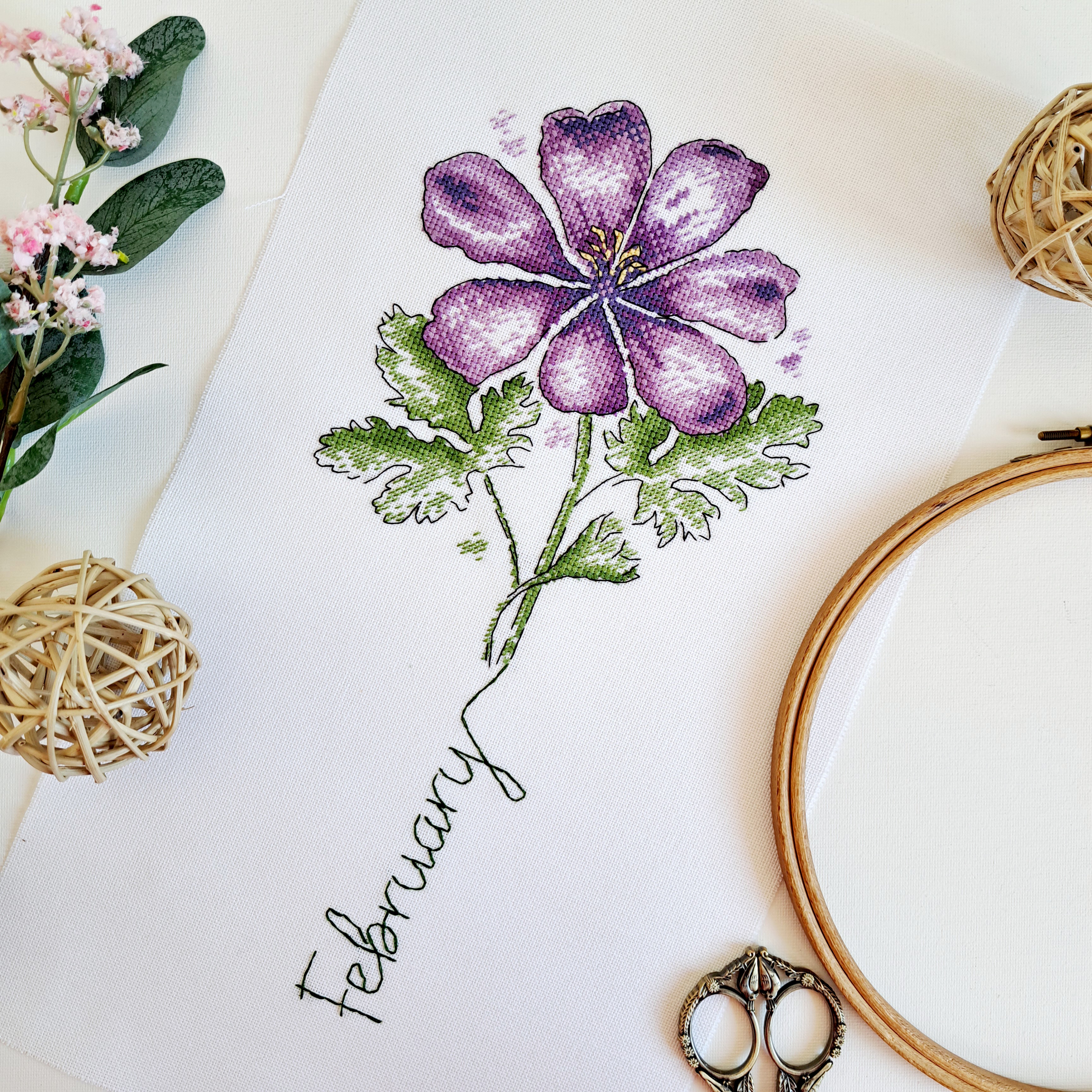 February Geranium - PDF Cross Stitch Pattern