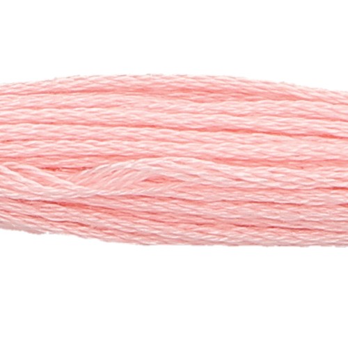 Anchor Six Strand Floss #22, zoomed in. Select this picture to zoom back out.
