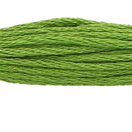 Anchor Six Strand Floss #256, zoomed in. Select this picture to zoom back out.