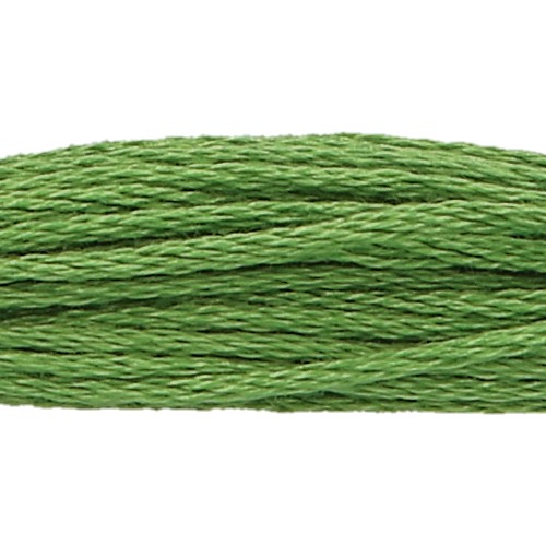 Anchor Six Strand Floss #257, zoomed in. Select this picture to zoom back out.