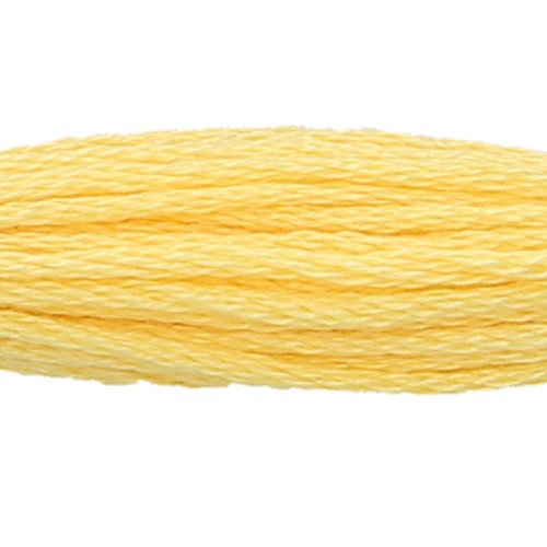 Anchor Six Strand Floss #295, zoomed in. Select this picture to zoom back out.