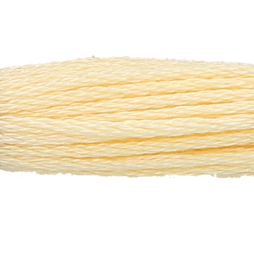 Anchor Six Strand Floss #300, zoomed in. Select this picture to zoom back out.