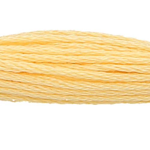 Anchor Six Strand Floss #301, zoomed in. Select this picture to zoom back out.