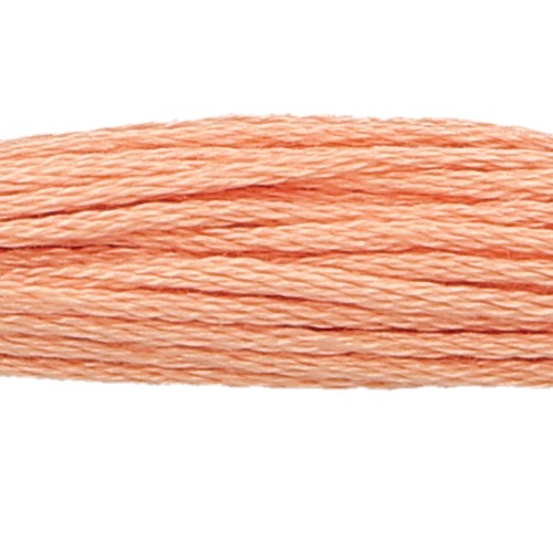 Anchor Six Strand Floss #336, zoomed in. Select this picture to zoom back out.