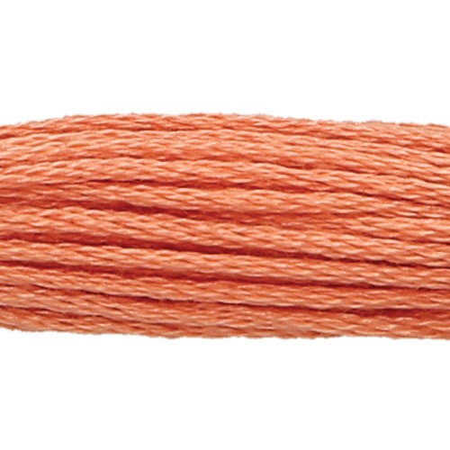 Anchor Six Strand Floss #337, zoomed in. Select this picture to zoom back out.