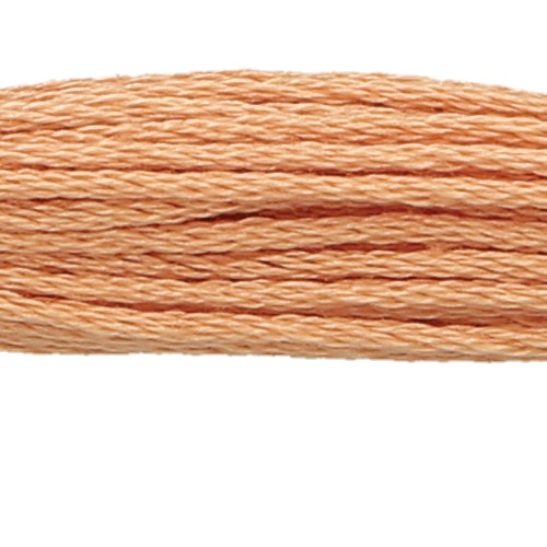 Anchor Six Strand Floss #347, zoomed in. Select this picture to zoom back out.
