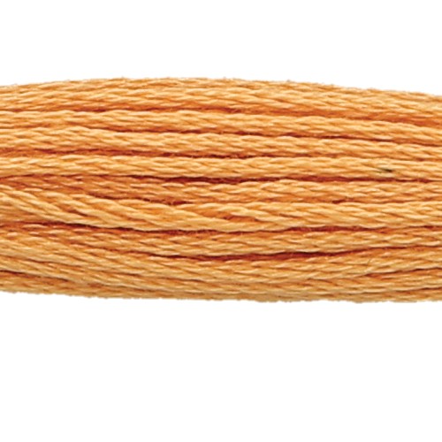 Anchor Six Strand Floss #363, zoomed in. Select this picture to zoom back out.