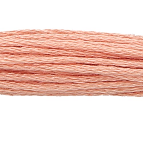 Anchor Six Strand Floss #868, zoomed in. Select this picture to zoom back out.