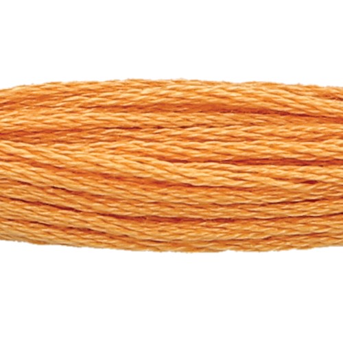 Anchor Six Strand Floss #1002, zoomed in. Select this picture to zoom back out.