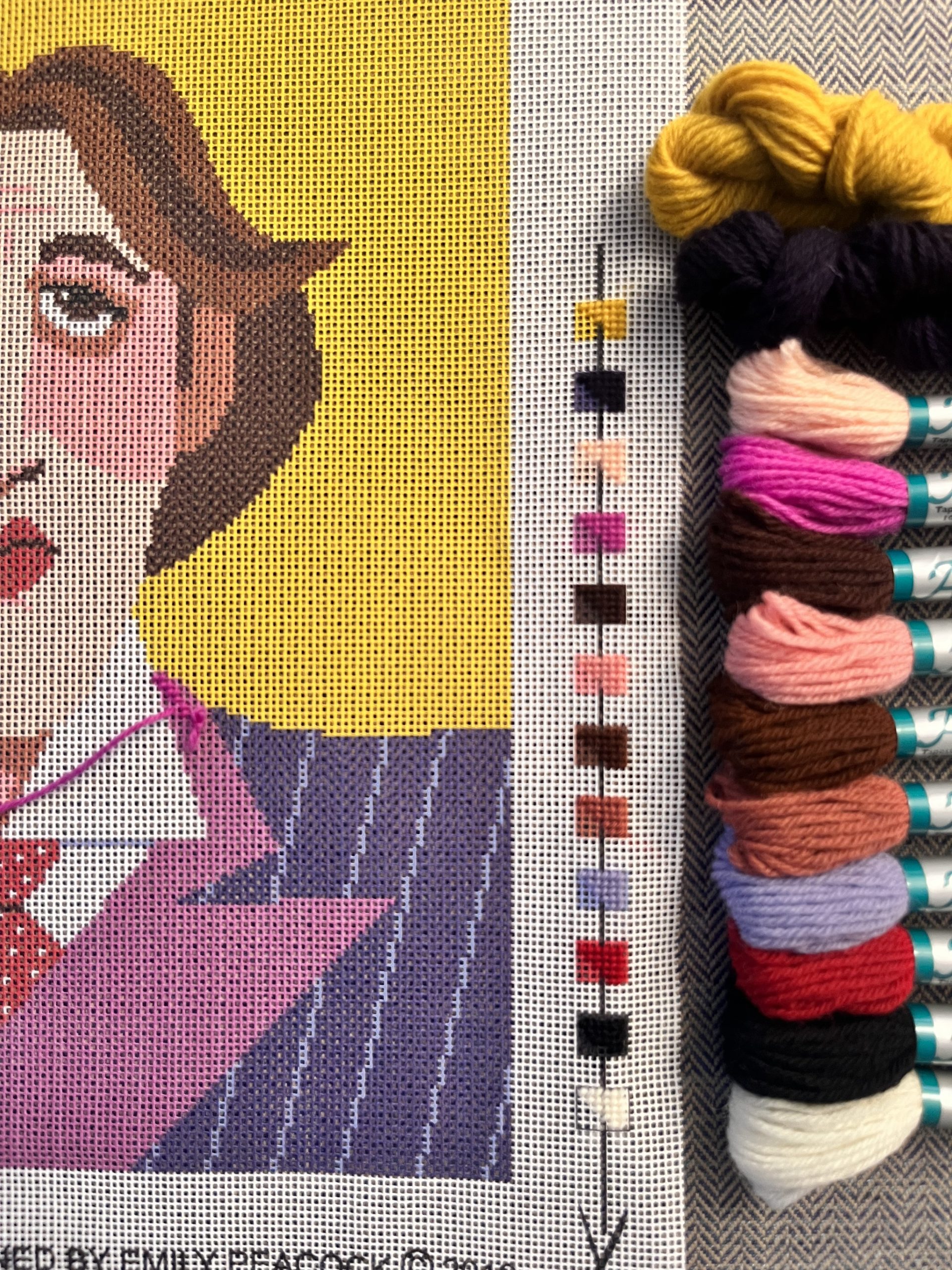 Oscar Wilde - Needlepoint / Tapestry Kits, different perspective #1, zoomed in. Select this picture to zoom back out.