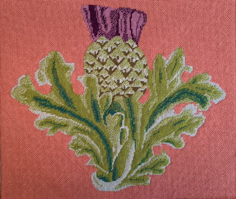 The Scottish Thistle On Pink  - Needlepoint / Tapestry Kits, zoomed in. Select this picture to zoom back out.