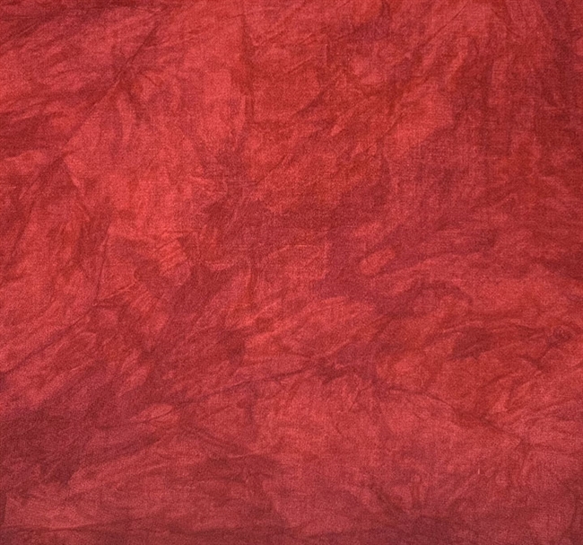 18 Count Joy Lynn Aida 12x17