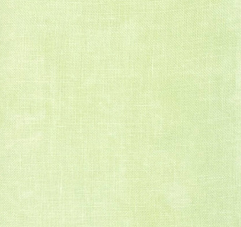 20 Count Honeydew Spritz Aida 12x17, zoomed in. Select this picture to zoom back out.