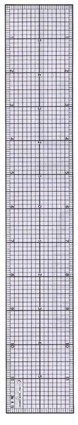 Graph Ruler 2 X 12"