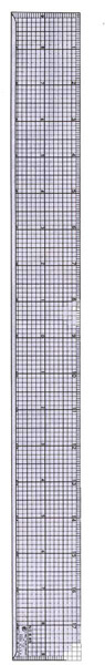 Graph Ruler 2" X 18"