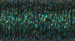 Peacock (085) #8 Braid