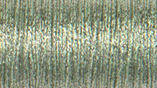 Aspen Green (089) #8 Braid