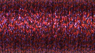 Hibiscus (326) #8 Braid