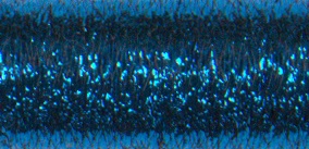 Blue Hi Lustre (006HL) Blending Filament