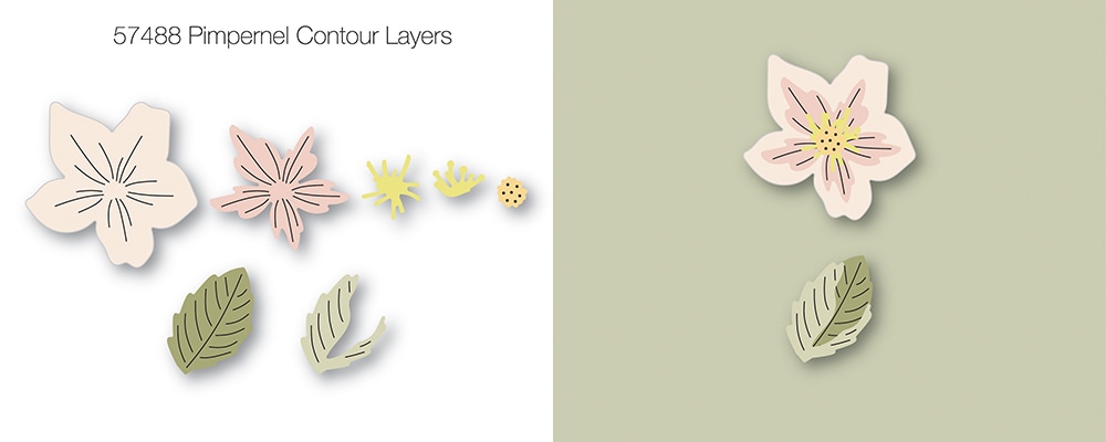 Pimpernel Contour Layers - Craft Die Set