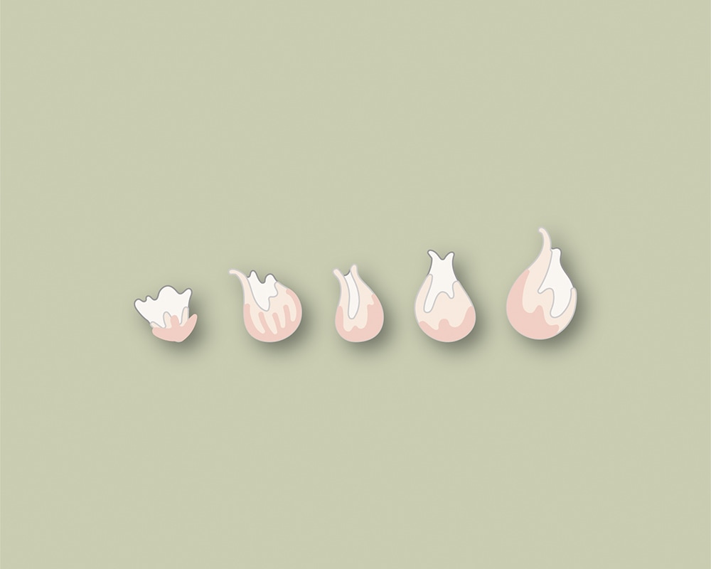 Delicate Floral Buds Contour Layers - Craft Die