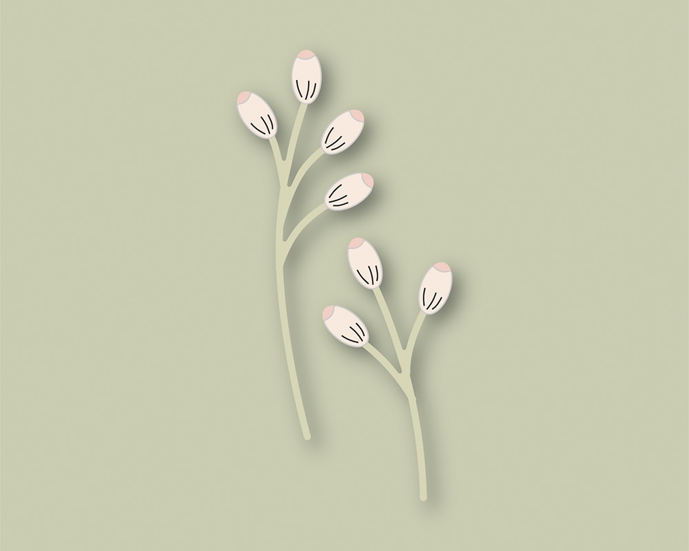 Sylvan Berries and Leaves Contour Layers - Craft Die