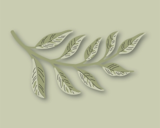 Curved Leaf Branch Contour Layers - Craft Die, different perspective #2, zoomed in. Select this picture to zoom back out.