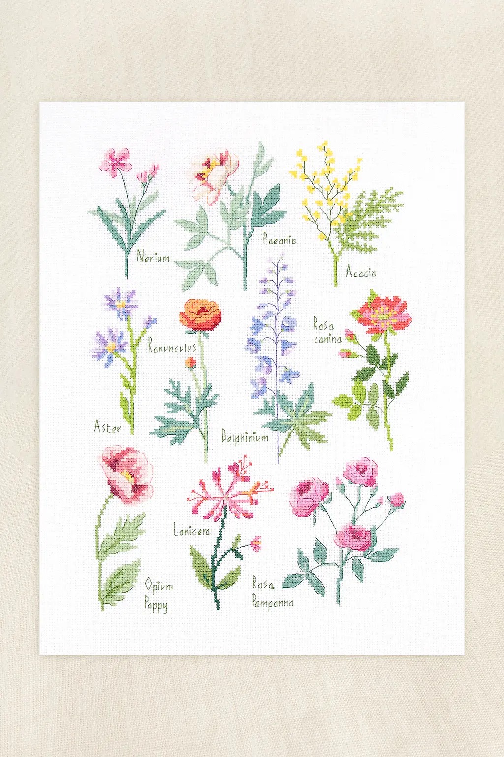 Botanical Sampler - Cross Stitch Pattern