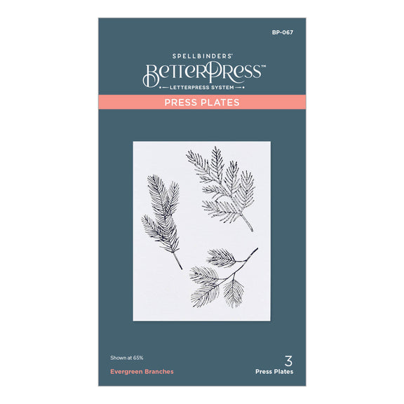 Evergreen Branches - Press Plate Die